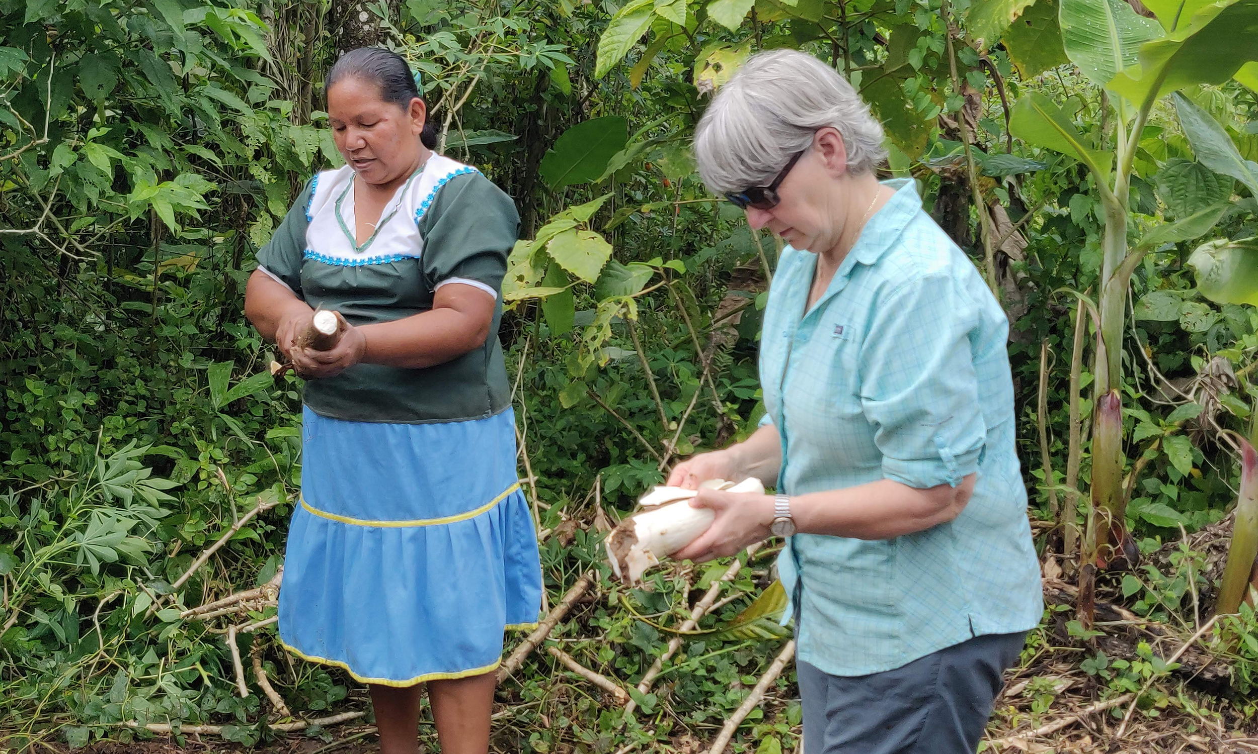 Two women in Ecaudor in a forested setting handle agricultural products