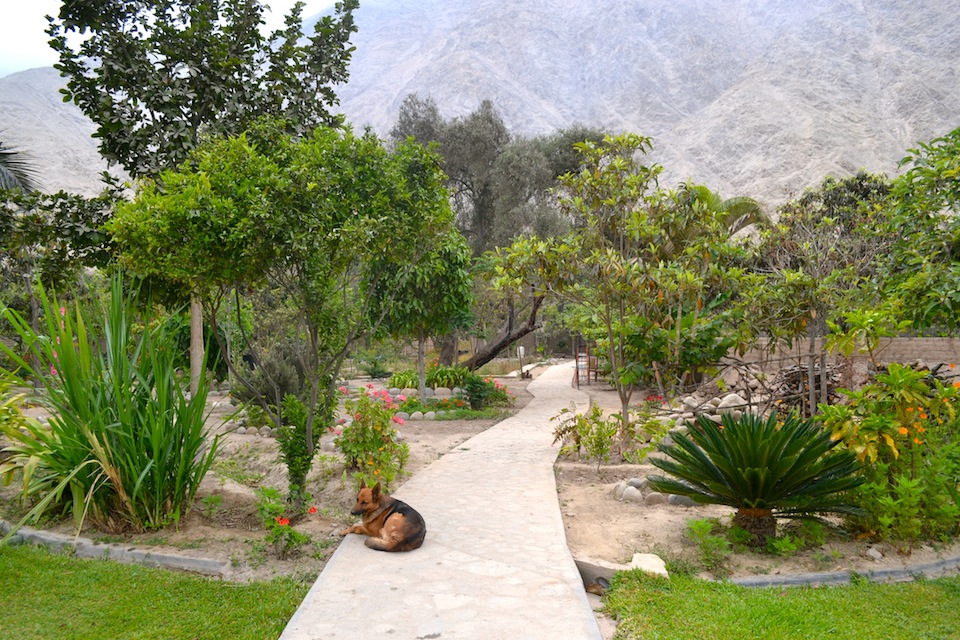 Discover The Unique Lodges Of Peru