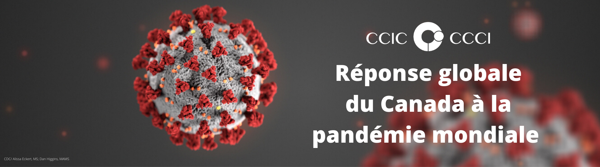SACO soutient la réponse globale du Canada à la covid-19