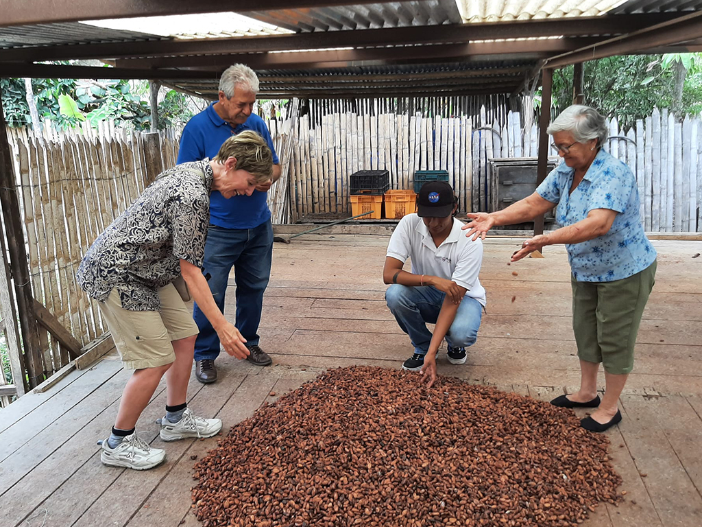 Two men and two women examine dried agricultural product